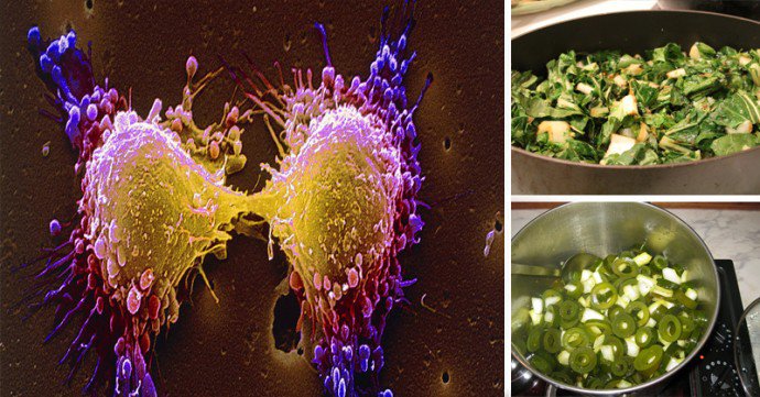 15 aliments qui forcent la mort des cellules cancéreuses, éliminent les toxines et traquent sans relâche les radicaux libres - Santé Nutrition